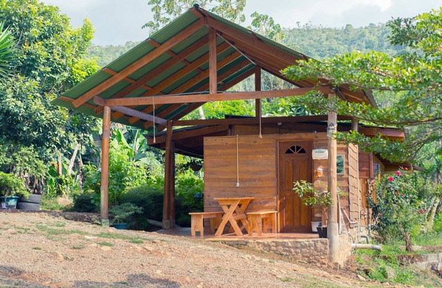 Rain Ecolodge cabins