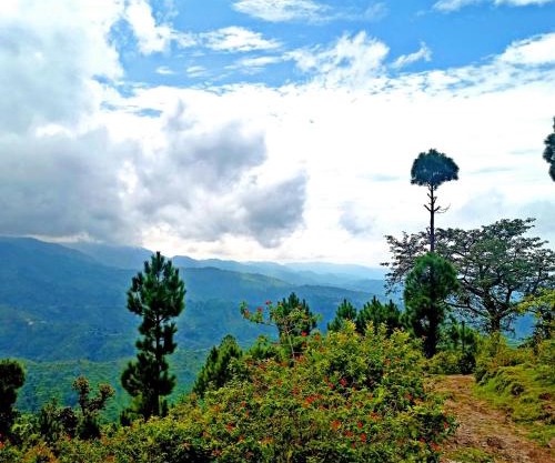 Rameshwari Homestay