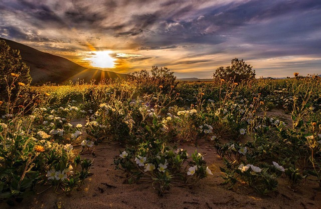 Rams Hill home with beautiful easterly views!