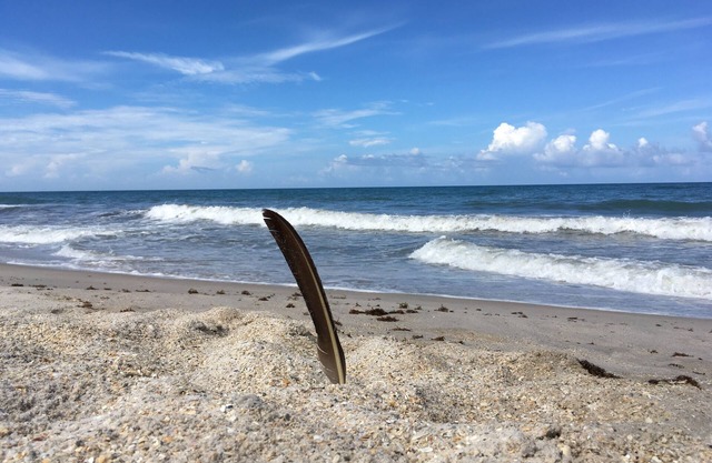 Rare experience at Old Florida mid-century seaside estate