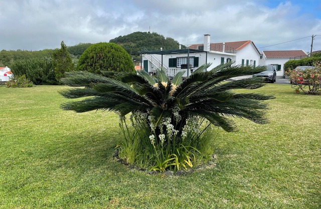 Recent villa, located in a quiet residential area, 2km from the center