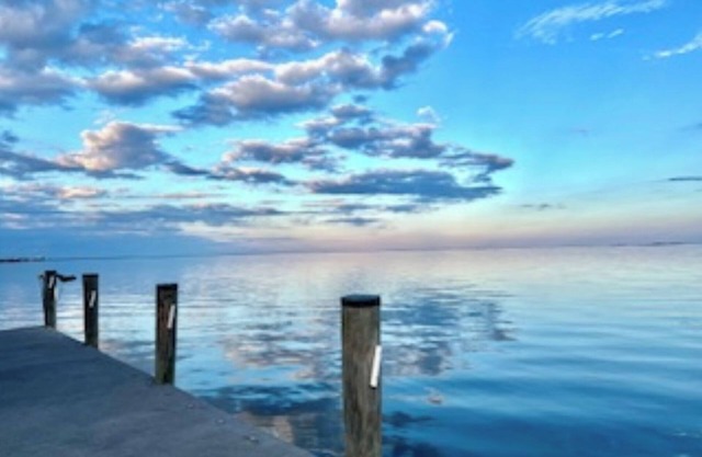 Reel Therapy boat-house studio on Lake Catherine/fishing pier, pets ok.
