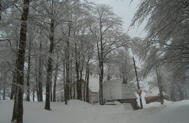 Remarkable 3-Bed House in Zabljak