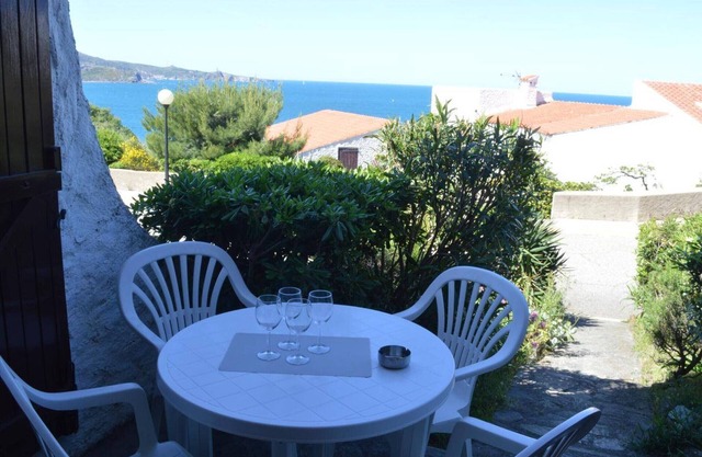 Renovated apt 4 pers with terrace and WIFI - Banyuls