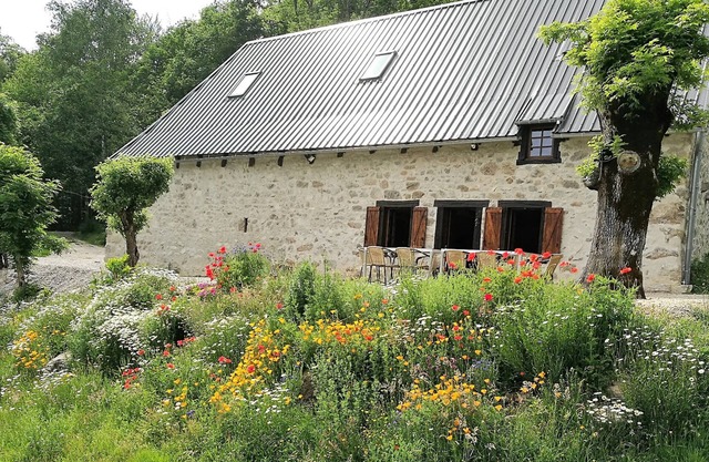 Renovated farmhouse between woods and meadows
