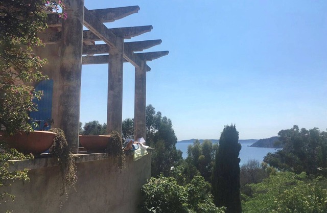 Renovated 1930 villa, air conditioning, 10min walk from the beach, edge of the Botanical Garden