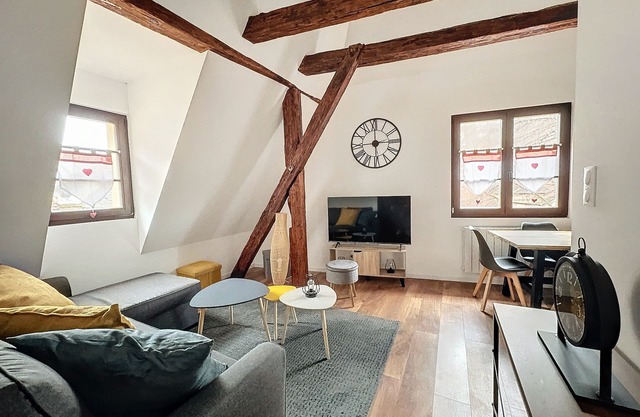 Renovated luxury apartment, in the middle of the Alsace wine route