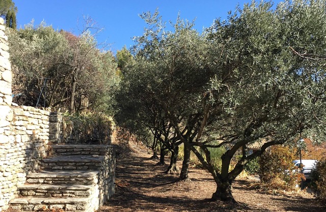 Rental House Bonnieux Luberon Provence