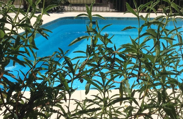 Rental with pool between ocean beaches and prestigious vineyards