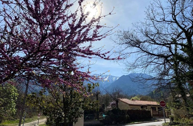 Residence Balcon Du Canigou - T2 in the residence Les Balcons du Canigou