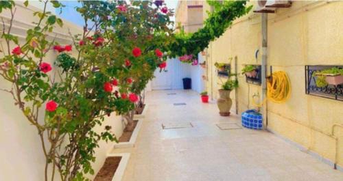 Residence Jasmine