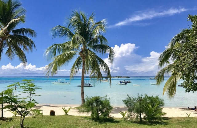 Residence Moorea Sunset Beach