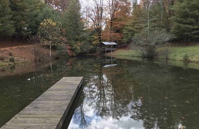 Retreat with rustic cabin, picnic shed and ponds