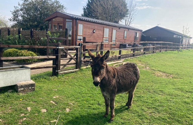Rew Farm Country and Equestrian Accommodation - Sunset Lodge