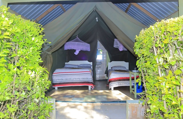 Rhino Tourist Camp