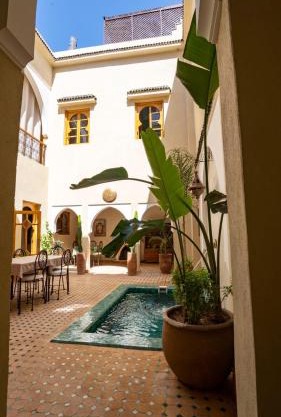 Riad Saadaoui