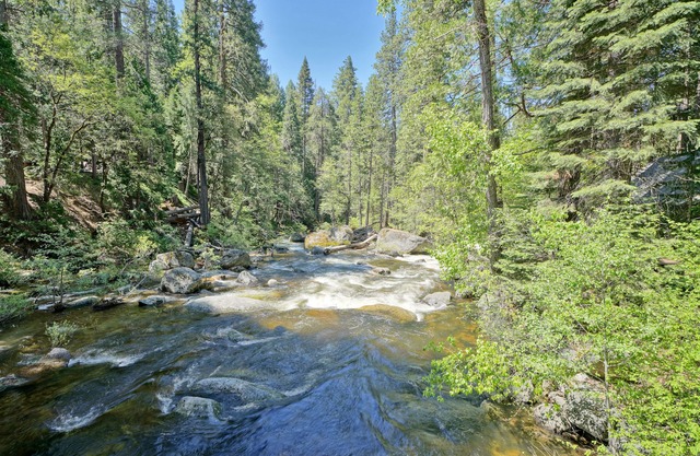River front property!