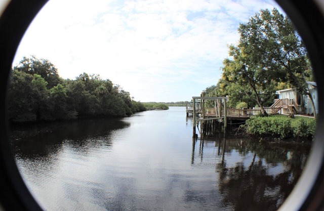 River Pearl on the Alafia River