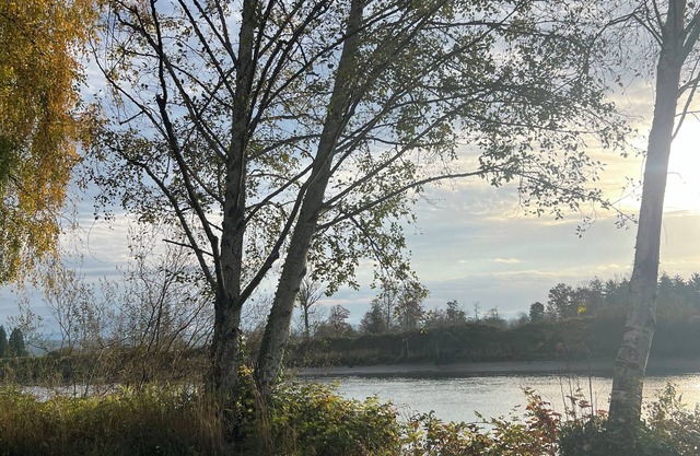 River Retreat close to Boeing, I-5 and downtown Everett!