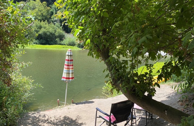 River Time ~ Come Stay on the River! Access to Park, Riverfront, In Town