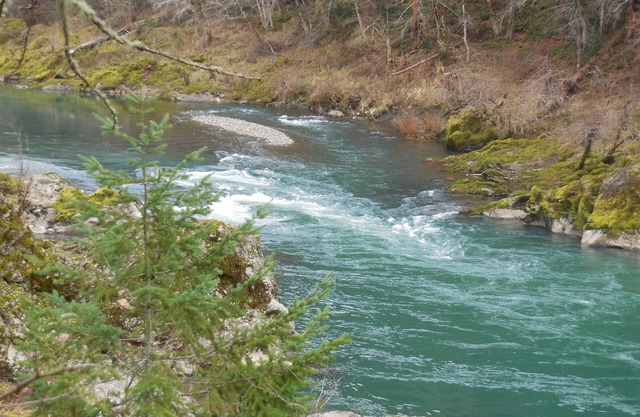 River Vista Homes: Swim, Fish, and Unwind with Scenic Riverside Views