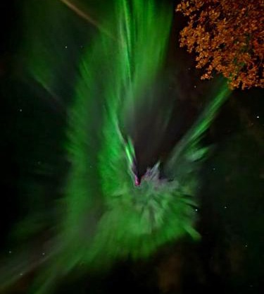 Romslig ferieleilighet nær sjøen Medby Senja