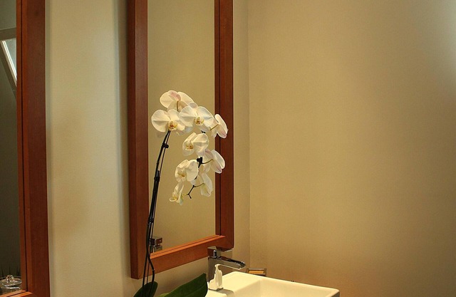 Room with Creole charm with air conditioning, wifi, pool, parking and large garden