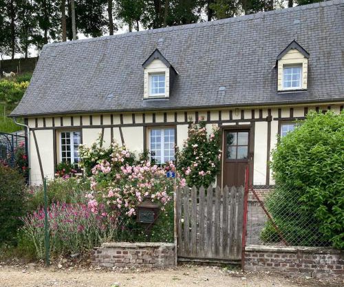 Rose des prés