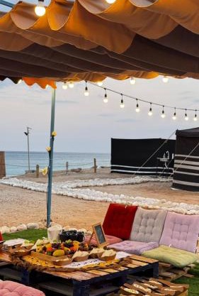 ROYAl FINS CAMP