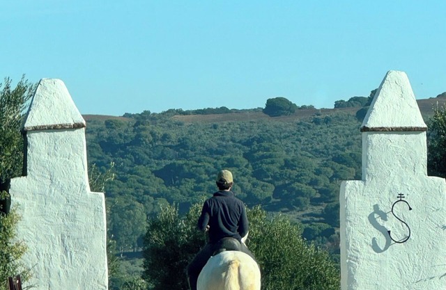 Rural Getaway with Andalusian Charm: Private Annexe at Cortijo Centenario
