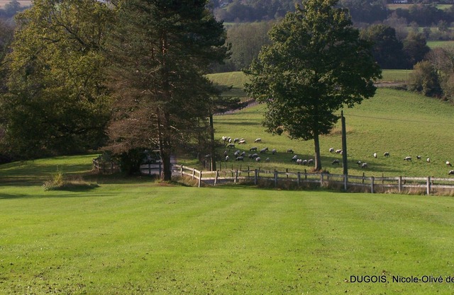 Rural lodging in the Béarn Pyrenees