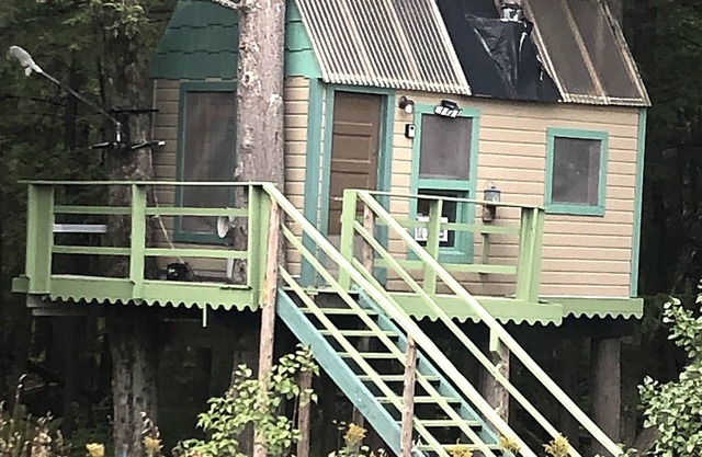 Rustic Treehouse on fabulous private boating, fishing and swimming lake