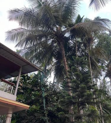 Sadhana Homestay