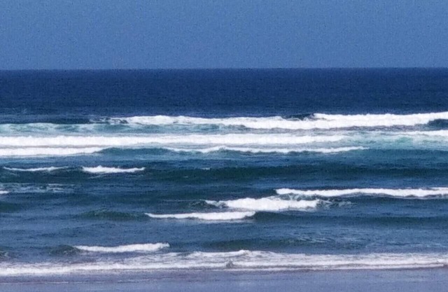 Sail Away - Waldport