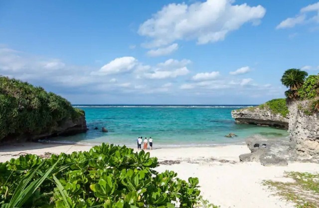 SAKURA 30 seconds to the sea One newly built Ry /Kunigami-gun Okinawa