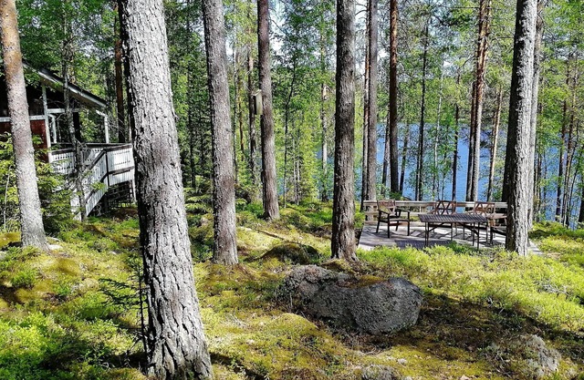 Salkolahti Minttu