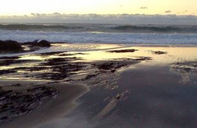 Salmonberry Inn & Beach House