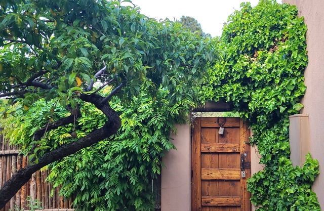 Santa Fe - Charming Home 2 Bed 2 Bath n - On a Park -