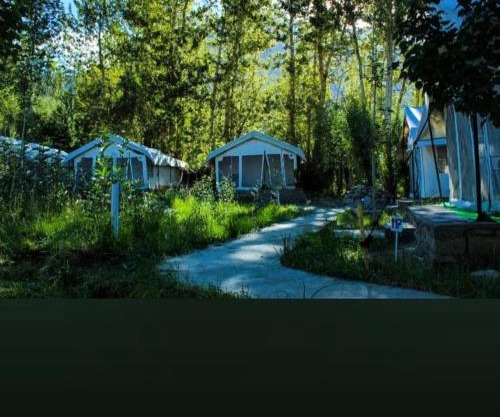 Saser Camp