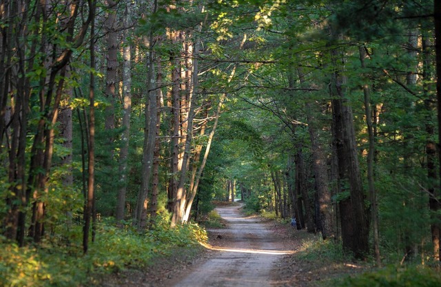 Scenic Drive Resort - Cabin #6