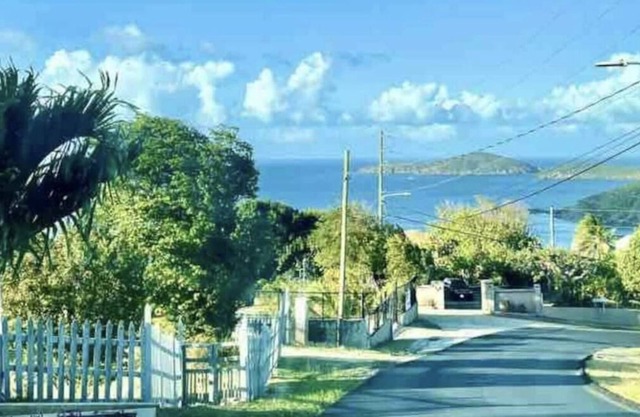 Scenic View: A Tropical Experience