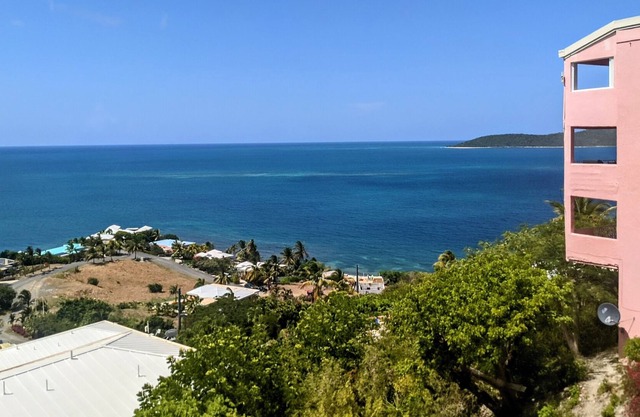Sea La Vie