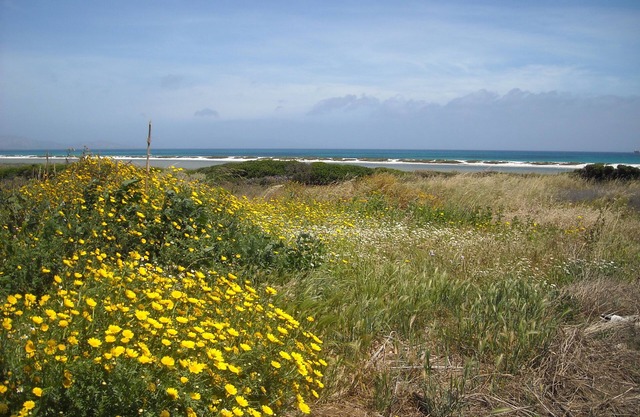 Sea, Nature and Relax: holiday home in Stintino - Sardinia