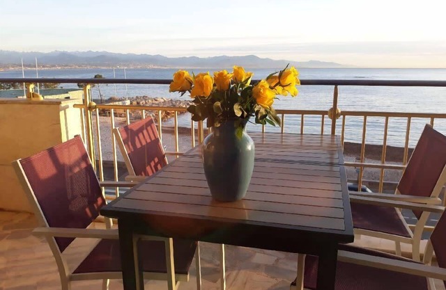 Seafront one bedroom apartment with a terrasse, swimming pool and a parking