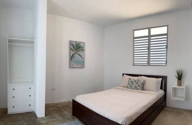 Searenity Cove Starfish