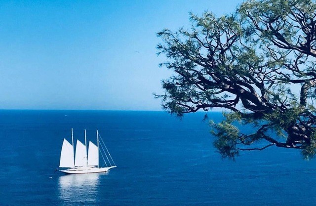 Seaside - Little jewel - Exceptional sea & garden view