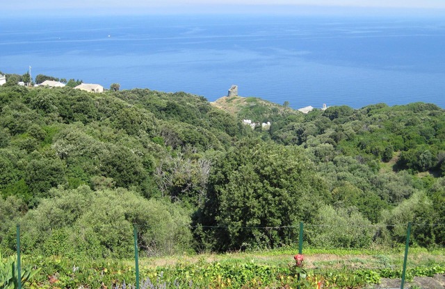 Seasonal rental of apartment in Pino Cap Corse 2/3 people