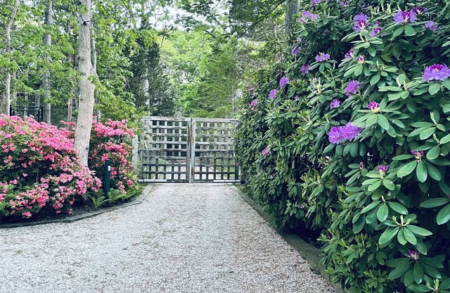Secluded Artist & Architect House With Magical Garden, mid century modern