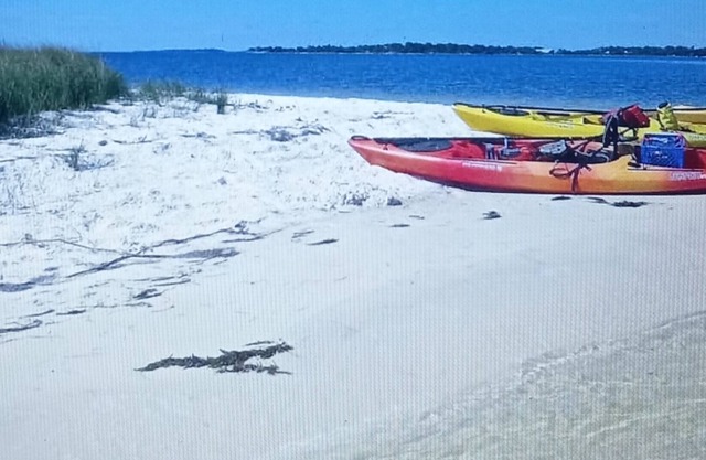 Secluded&beautiful Updated Farmhouse 2Ponds 10Acres BEACH, FISH, KAYAK, MANATEE