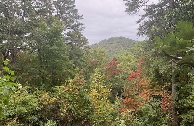 Secluded home in the mountains and 5 minutes from downtown. Pet friendly!